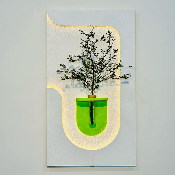 Contemporary Wall Decor with LED Lights